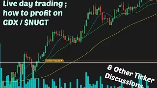 Day Trading 8/8 Monday Funday; Ticker Review & Discussion