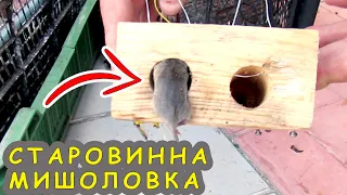 Do-it-yourself old effective mouse trap / old mouse trap