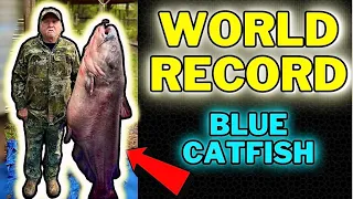 The WORLD RECORD American Blue Catfish