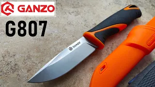 ✅ NEW GANZO Fixed G807 Budget Knife