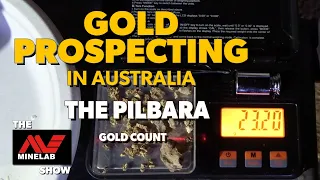 Detecting for Gold in the Pilbara with a Minelab GPX 6000 Metal Detector - Gold Count