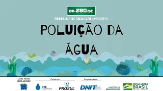 Vídeo Aula 6 - Poluição da Água