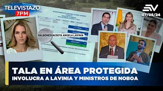 Tala de manglar en área protegida involucra a Lavinia Valbonesi y ministros de Noboa | Televistazo