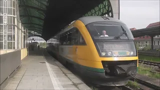 642 411/911 im Bahnhof Görlitz