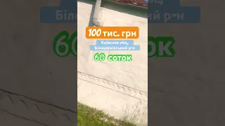 Продам будинок в Київській обл., з газом (60 соток)