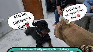 Rottweiler🐻 or Bully🐶 kya kabhi dost ban payenge ?  Meetup with @namitaology 🫣