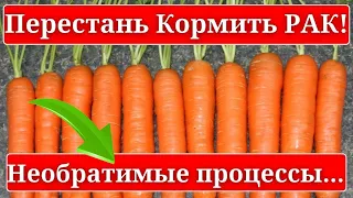 ЧТО творит МОРКОВЬ, врачи  ЗНАЮТ, но молчат, даже 2 штуки.....