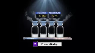 Product Lyophilization Process