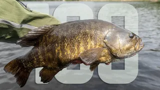 AMAZING BITE! 100 BASS FISHING with LURES & JIGS!