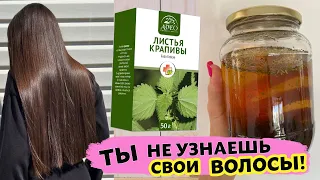 КРАПИВА ОСТАНОВИТ ВЫПАДЕНИЕ ВОЛОС и УСКОРИТ РОСТ! Волосы растут как сумасшедшие и не выпадают