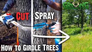 How To Improve Hardwood Timber for Wildlife - Part 2: How to Girdle Trees (804)