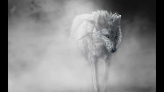 Dna - Einsamer Wolf ( prod. by ObieDaz )