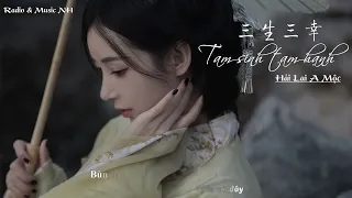 [Kara + Vietsub] Tam sinh tam hạnh (May mắn ba đời) - Hải Lai A Mộc (三生三幸 - 海来阿木)