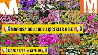 📢MİGROSA DEVASA ÇİÇEKLER GELDİ 📢ÇİÇEK PAZARI..10 ÇİÇEKÇİ BİRARADA ‼️