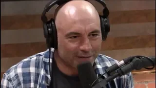 Joe Rogan on the Grievance Study Controversy