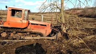 ДТ 75 скрытые возможности с помощью корчевателя