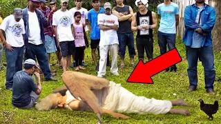 20 Most TERRIFYING Things That Fell From The Sky