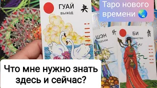 Что нужно знать ЗДЕСЬ и СЕЙЧАС?🙇‍♀️❓