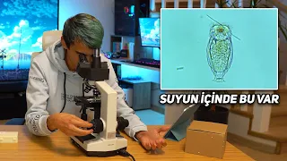 MİKROSKOP'la HER ŞEYE BAKTIM!