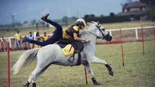 Anouche & Oxbow Mounted Games Peter Dale Dell Alba 2016