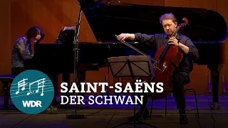 Camille Saint-Saëns - Le Cygne (The Swan) | WDR Symphony Orchestra