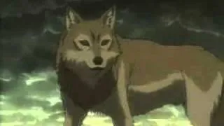 the death of blue ( wolf's rain ) part 1