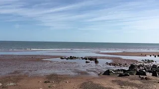 Dawlish Warren beach in South Devon on March 25 2019.