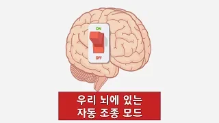 여러분의 뇌가 이미 가지고 있는 놀라운 능력 5  [신박과학]