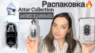 ATTAR COLLECTION MUSK KASHMIR☀️Заказ и ПРОМОКОД RANDEWOO. Скидки и акции. Обзор аромата☀️Чистота!!!