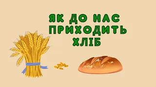 Як до нас приходить хліб