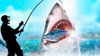 ⚓ История о том как я поймал Огромную Хищную АКУЛУ в прикольной мобильной игре Fishing Strike