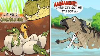 Hilarious Comics With Animals Twist #6 || Web Comics Dub