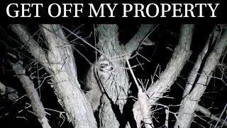 GET OFF MY PROPERTY- COON HUNT