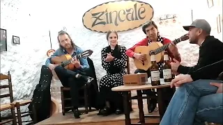 FLAMENCO CUEVAS DE SACROMONTE GRANADA