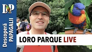 Loro Parque LIVE 2017