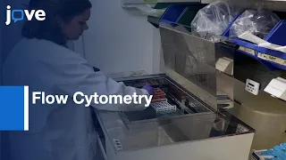Flow Cytometry to Characterize Immune Cells in Adipose Tissue | Protocol Preview