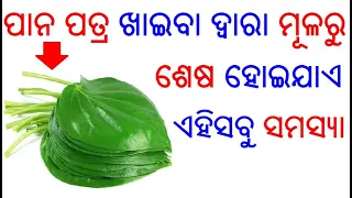 ପାନ ପତ୍ରର ଔଷଧୀୟ ଗୁଣ | Panapatra ra upakarita | Betel leaf benefits in Odia | Odia Health Tips