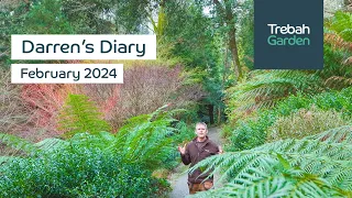 Stem Colour & Early Spring Flowers | Darren's Diary | February 2024