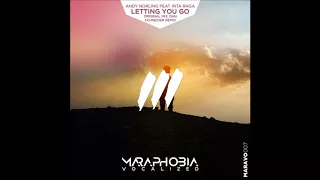 Andy Norling feat. Rita Raga - Letting You Go (Dan Schneider Remix)