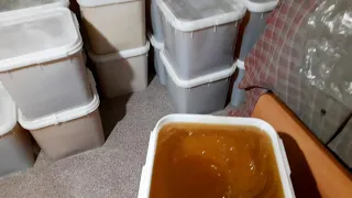 Алтайский горный мёд