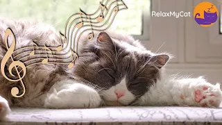 Calming Music for Cats - 20 HOURS of 528Hz Healing Music 🎶