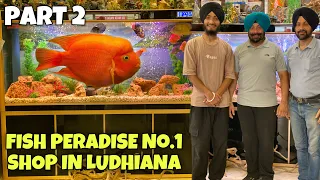 Fish Peradise Punjab No.1 SHOP | PART 2