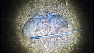 Blowgun Hunting Red Rock Rabbits in the Drakensberg