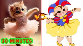 30 minutes Of Funniest Animals 😅 New Funny Cats and Dogs Videos 😸🐶 Cat Memes Compilation Part 1