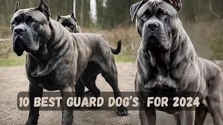 Top 10 best guard dog breeds to GUARD your family in 2024