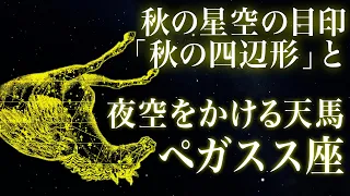 秋の星空の目印「秋の四辺形」と夜空をかける天馬「ペガスス座」