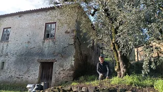 #16 - Emptying the Attic, Gardening & Finding MORE Antiques at Our Small Portuguese Farm