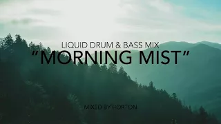 Liquid Drum and Bass - Morning Mist