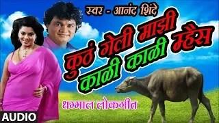 कुठं गेली काळी काळी म्हैस – मराठी लोकगीत | KUTHA GELI KAALI KAALI MHAIS | ANAND SHINDE