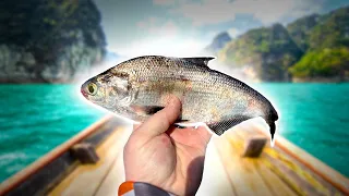 How to Find and Catch Big Gizzard Shad For the SPRING!